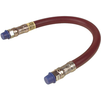 Grease Gun Extension Hoses AA693 | Caster Town