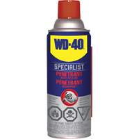 Specialist™ Rust Release Penetrant, Aerosol Can AF171 | Caster Town