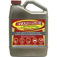 Evapo-Rust<sup>®</sup> Super Safe Rust Remover, Jug AH141 | Caster Town