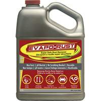 Evapo-Rust<sup>®</sup> Super Safe Rust Remover, Jug AH142 | Caster Town