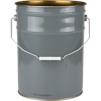 Lined Pail, Steel, 20 L CF480 | Caster Town