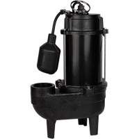 Cast Iron Sewage Pump, 120 V, 10 A, 6400 GPH, 3/4 HP DC849 | Caster Town