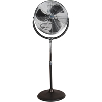 High-Velocity Pedestal Fan, Commercial, 3 Speed, 20" Diameter EA289 | Caster Town