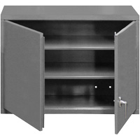 Wall-Mounted Cabinet, 27" H x 29-7/8" W x 13-11/16" D, 2 Shelves, Steel, Grey FL992 | Caster Town