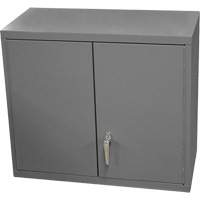 Wall-Mounted Cabinet, 27" H x 13-11/16" W x 35-7/8" D, 2 Shelves, Steel, Grey FL998 | Caster Town