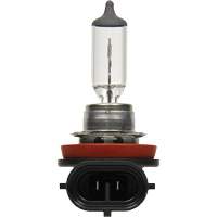 H8 Basic Headlight Bulb FLT984 | Caster Town