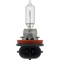H89 Basic Headlight Bulb FLT985 | Caster Town