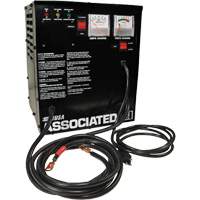 Intellamatic<sup>®</sup> 12 Volt Automatic Parallel Battery Charger FLU037 | Caster Town