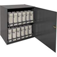 Aerosol Storage Cabinet, Steel, 21-7/8" H x 15-15/16" W x 20-5/16" D, Grey FN379 | Caster Town