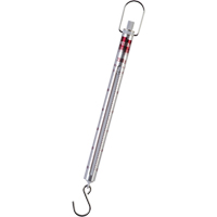 Pesola<sup>®</sup> Medio Spring Scale IB702 | Caster Town