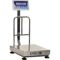 Cyclone 150 Bench and Platform Scale, 300 lbs. / 150 kg Capacity, 15-3/4" L x 19-7/10" W IB770 | Caster Town