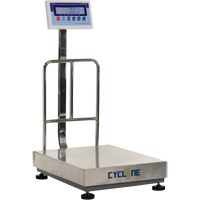 Cyclone 300 Bench and Platform Scale, 600 lbs. / 300 kg Capacity, 17-3/4" L x 23-3/5" W IB771 | Caster Town