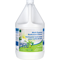 Multi-Purpose Concentrated Bathroom Cleaner, 4 L, Jug JC004 | Caster Town