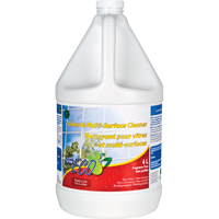 Glass & Multi-Surface Cleaners, Jug JC008 | Caster Town
