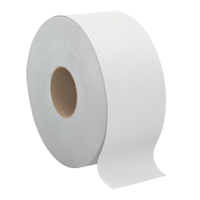Pro Select™ Toilet Paper, Jumbo Roll, 2 Ply, 500' Length, White JH127 | Caster Town
