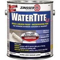Watertite<sup>®</sup> LX Mold & Mildew-Proof™ Waterproofing Paint, 3.78 L, Gallon, White JL336 | Caster Town