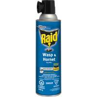 Raid<sup>®</sup> Wasp & Hornet Bug Killer, 400 g, Solvent Base JL959 | Caster Town