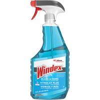 Windex<sup>®</sup> Glass Cleaner with Ammonia-D<sup>®</sup>, Trigger Bottle JO155 | Caster Town