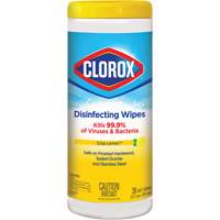 Disinfecting Wipes, 35 Count JO323 | Caster Town