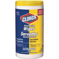 Disinfecting Wipes, 75 Count JO242 | Caster Town