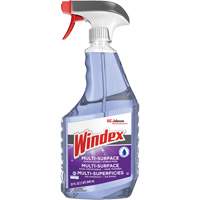 Windex<sup>®</sup> Ammonia-Free Multi-Surface Cleaner, Trigger Bottle JP463 | Caster Town