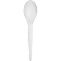 Plantware™ Renewable and Compostable Spoon JP767 | Caster Town