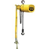 Budgit<sup>®</sup> Series 6000 Air Hoists LS926 | Caster Town