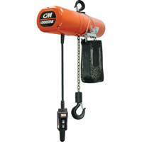 Lodestar Electric Chain Hoists, 10' Lift, 250 lbs. (0.125 tons) Capacity, 32 FPM LT613 | Caster Town