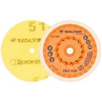 Quick-Step™ Instant Polish Discs, 5" Dia. NIK687 | Caster Town