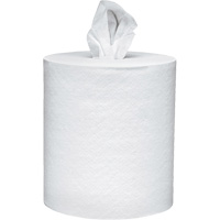 Scott<sup>®</sup> Essential Paper Towels, 2 Ply, Centre Pull, 625' L NJI990 | Caster Town