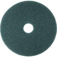 Cleaner Pad, 13", Scrubbing, Blue NU293 | Caster Town