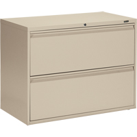 Lateral Cabinet, Steel, 2 Drawers, 36" W x 19-1/4" D x 27-31/100" H, Beige OP326 | Caster Town