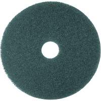 5300 Series Pad, 16", Cleaning, Blue PG207 | Caster Town