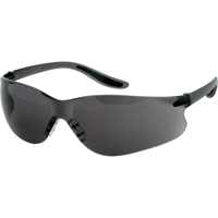 Z500 Series Safety Glasses, Grey/Smoke Lens, Anti-Scratch Coating, ANSI Z87+/CSA Z94.3 SAS362 | Caster Town