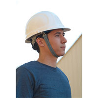 Chinstrap for ERB Hardhat SAX890 | Caster Town