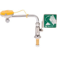 Axion<sup>®</sup> Eye/Face Wash Station, Sink Mount Installation SDS755 | Caster Town