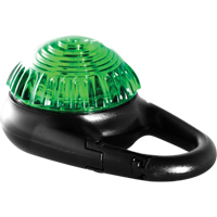 TAG-IT Guardian Warning Light, Continuous/Flashing, Green SDS909 | Caster Town