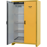 30-Minute EN Safety Storage Cabinet, 45 gal., 2 Door, 45.83" W x 76.65" H x 24.21" D SDS991 | Caster Town