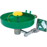Axion<sup>®</sup> Eye/Face Wash Station, Wall-Mount Installation, Plastic Bowl SEB239 | Caster Town