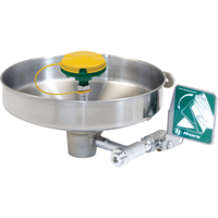 Axion<sup>®</sup> Eye/Face Wash Station, Wall-Mount Installation, Stainless Steel Bowl SEB240 | Caster Town
