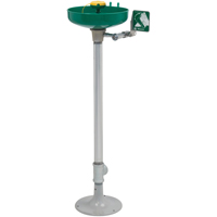 Axion<sup>®</sup> Eye/Face Wash Station, Pedestal Installation, Plastic Bowl SEB242 | Caster Town