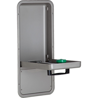 Eye/Face Wash Station, Wall-Mount Installation, Stainless Steel Bowl SEC202 | Caster Town