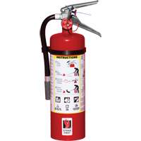 Fire Extinguisher, ABC, 5 lbs. Capacity SED109 | Caster Town