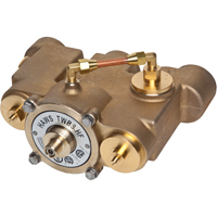 Thermostatic Mixing Valves, 78 GPM SED975 | Caster Town