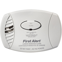 Plug-In Carbon Monoxide Alarm SEF213 | Caster Town