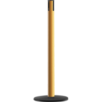 Advance TensaBarrier<sup>®</sup> - Receiver Post, 36" High, Yellow SEH492 | Caster Town