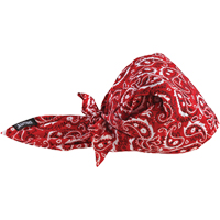 Chill-Its<sup>®</sup> 6710CT Cooling Triangle Hats, Red SEI650 | Caster Town