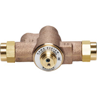 Thermostatic Mixing Valve, 10 GPM SEI814 | Caster Town