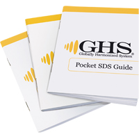 SDS Pocket Booklets SEJ582 | Caster Town