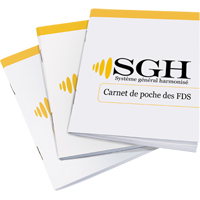 SDS Pocket Booklets SEJ583 | Caster Town